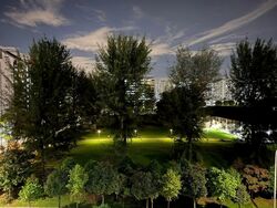 Blk 461 Tampines Street 44 (Tampines), HDB 4 Rooms #555313901